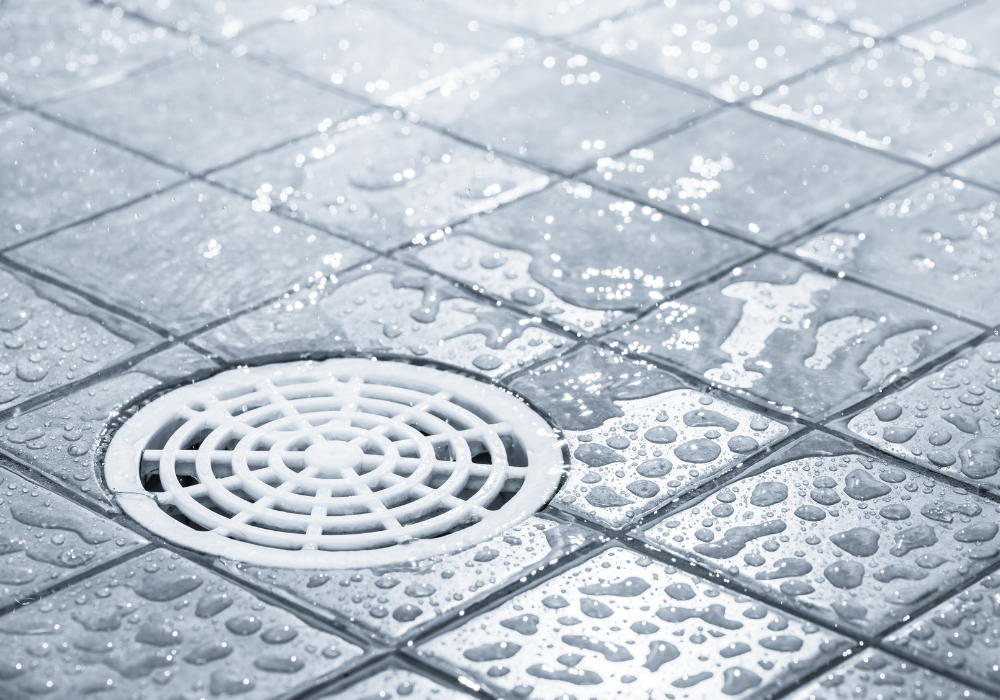 wet and slippy shower plug